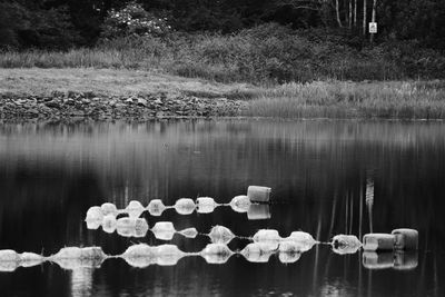 Buoys in lake