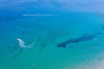 High angle view of turtle in sea