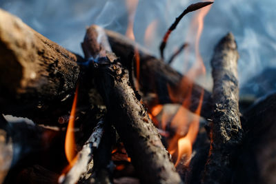 Close-up of burning firewood at campsite