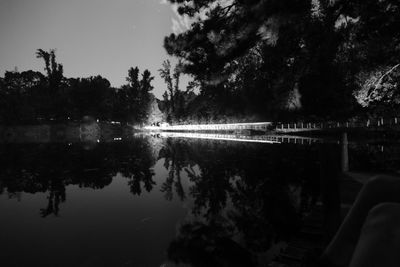 Reflection of trees in calm water