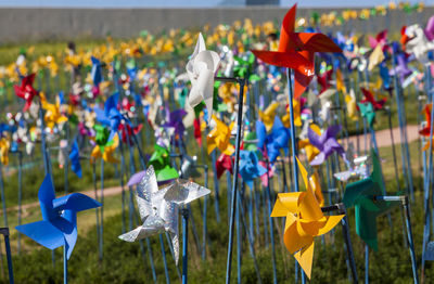 Pinwheels on field at imjingak