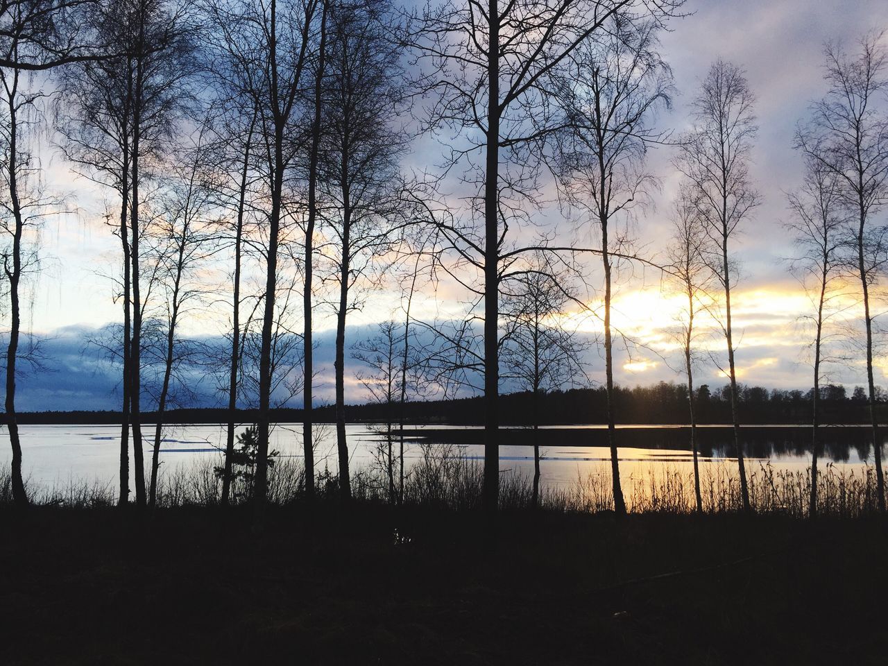 sunset, sky, tree, nature, silhouette, no people, growth, beauty in nature, water, sun, tranquility, scenics, outdoors, tranquil scene, day