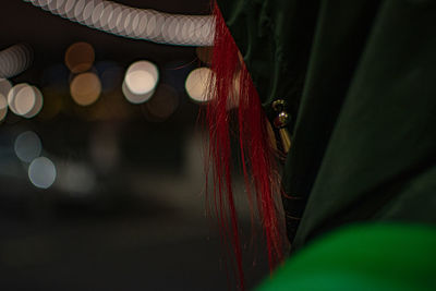 Close-up of person in hood clothing at night