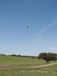 Low angle view of airplane flying over field against sky