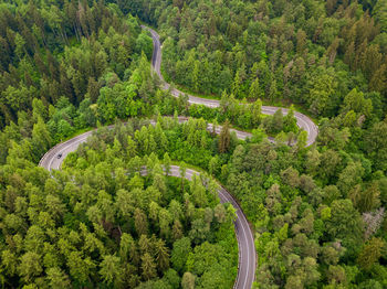 High angle view of agricultural field