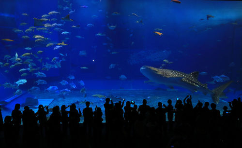 Group of people in aquarium