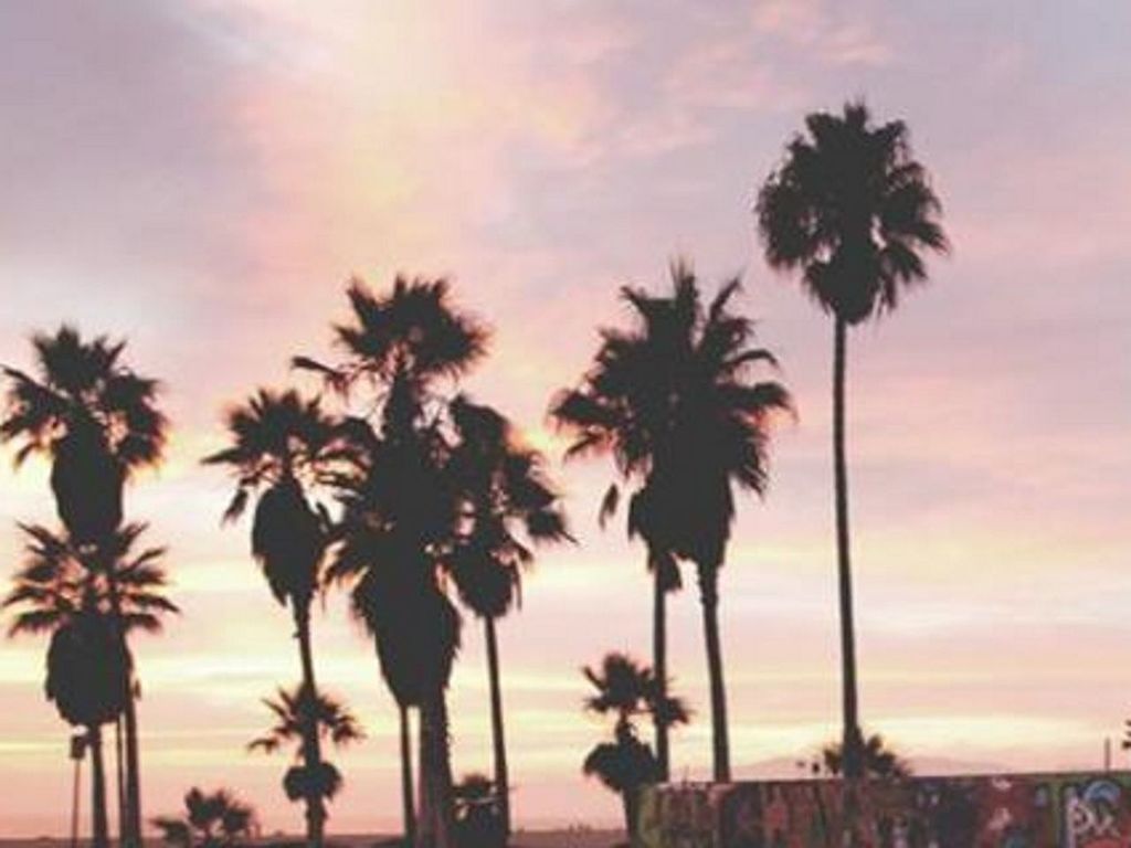 palm tree, sunset, sky, tree, beauty in nature, silhouette, cloud - sky, sea, scenics, growth, nature, tranquility, beach, tranquil scene, tree trunk, coconut palm tree, orange color, horizon over water, low angle view, cloud