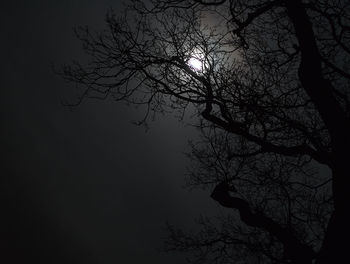 Low angle view of silhouette bare tree against sky at night