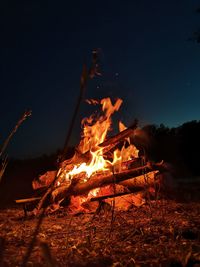 Bonfire on wooden log at night