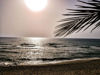 Scenic view of sea against clear sky at sunset