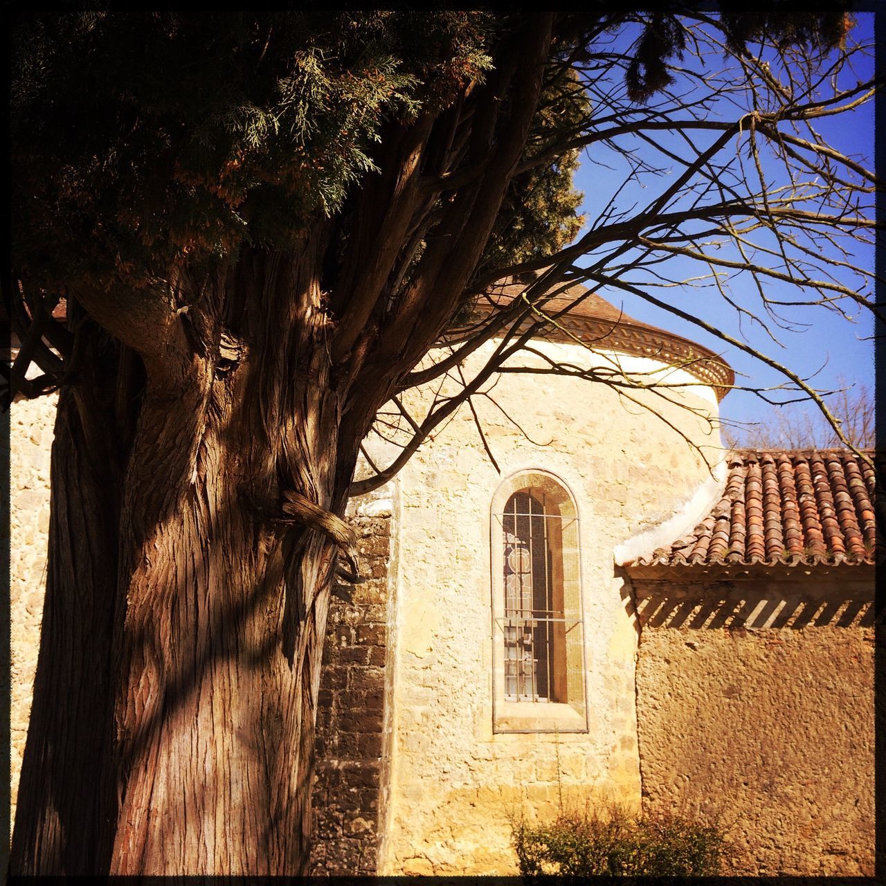 architecture, built structure, building exterior, religion, place of worship, church, spirituality, low angle view, transfer print, window, tree, auto post production filter, sunlight, day, arch, house, shadow, clear sky