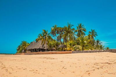 Scenic view of beach against a resort amidst palm at manda island in lamu archipelago, kenya