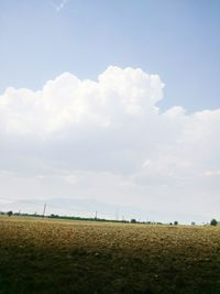 Scenic view of grassy field against sky