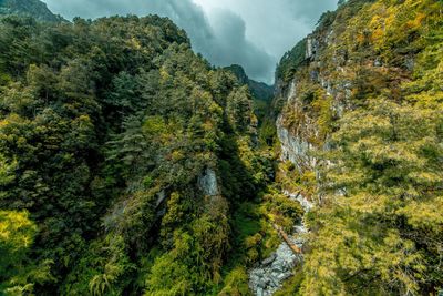 Panoramic view of trees on mountain against sky