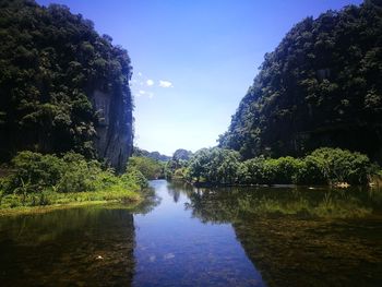 Reflection of trees in lake against sky