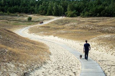 Rear view of man walking on road along trees