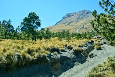 Scenic view of landscape against clear sky