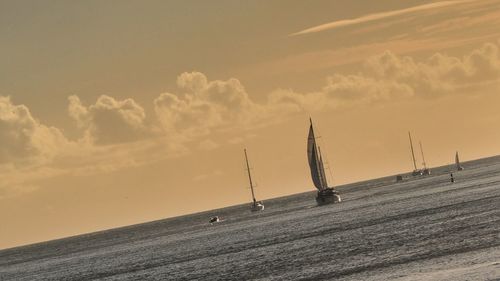 Sailboats sailing on sea against sky during sunset