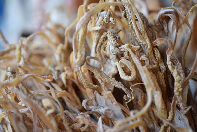 Close-up of dried for sale in market