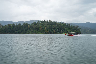 Boat moving on sea by trees against sky