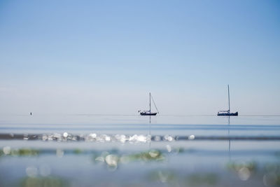 Scenic view of sea against clear blue sky