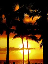 Low angle view of palm trees at beach during sunset