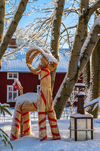 Clothes hanging on tree by building during winter