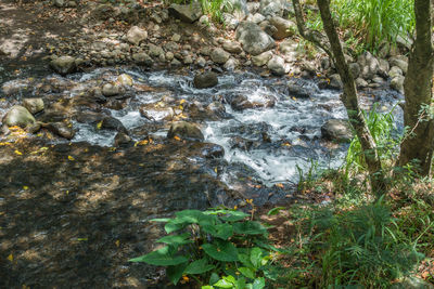 Scenic view of river