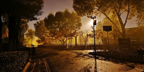 Street amidst trees against sky during sunset