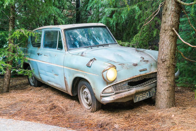 Abandoned car in forest