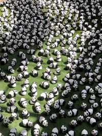  888 papier-mâché pandas at this art installation created by the french artist paulo grangeon 