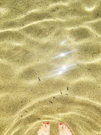 Low section of person standing on beach