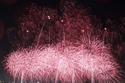 Low angle view of firework display at night