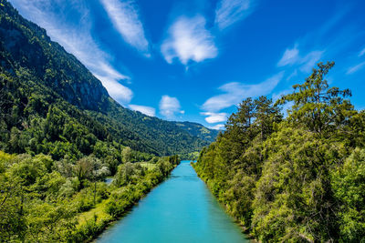 Scenic view of trees and plants against blue sky