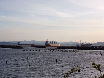 View of buildings at waterfront