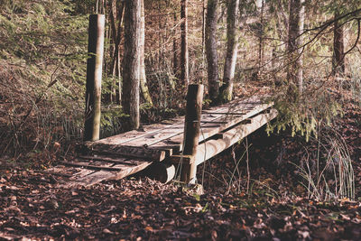 Empty bench in forest