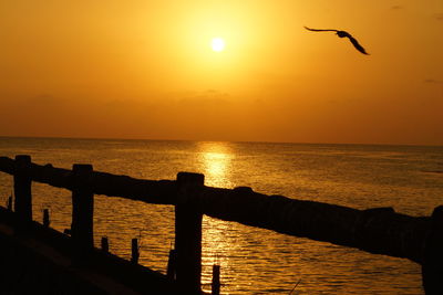 Silhouette bird flying over sea by railing against sky during sunset