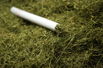 Close-up of cigarette smoking on field
