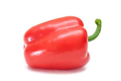 vegetable