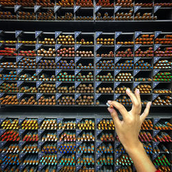 Cropped hand of woman holding pencil against shelf