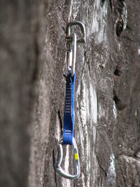 Close-up of blue hanging outdoors