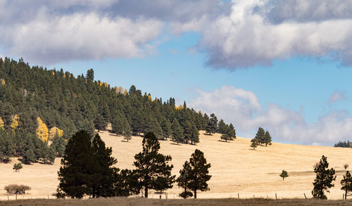 Panoramic view of landscape against sky