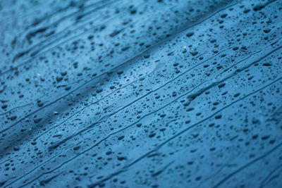 Full frame shot of water drops on blue wall