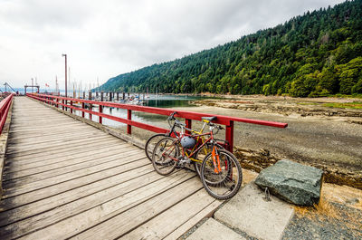 Bicycles parked on footbridge against trees