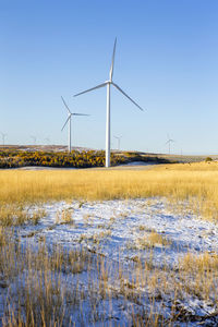 Wind turbines in a field with blue sky