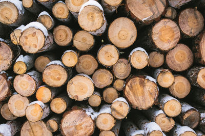 Full frame image of snow covered wooden log