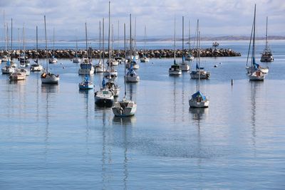 Sailboats moored in harbor