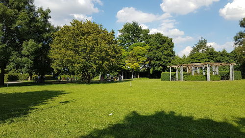 Trees on field against sky