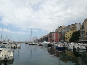 Sailboats moored in harbor