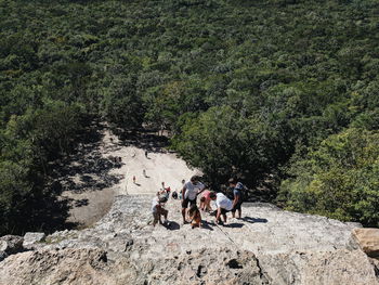 People walking in forest